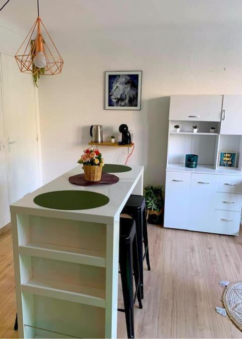 Apartmán Studio Proche Centre Wifi Parking Montpellier Exteriér fotografie
