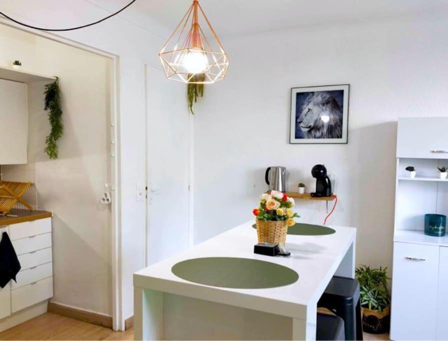 Apartmán Studio Proche Centre Wifi Parking Montpellier Exteriér fotografie