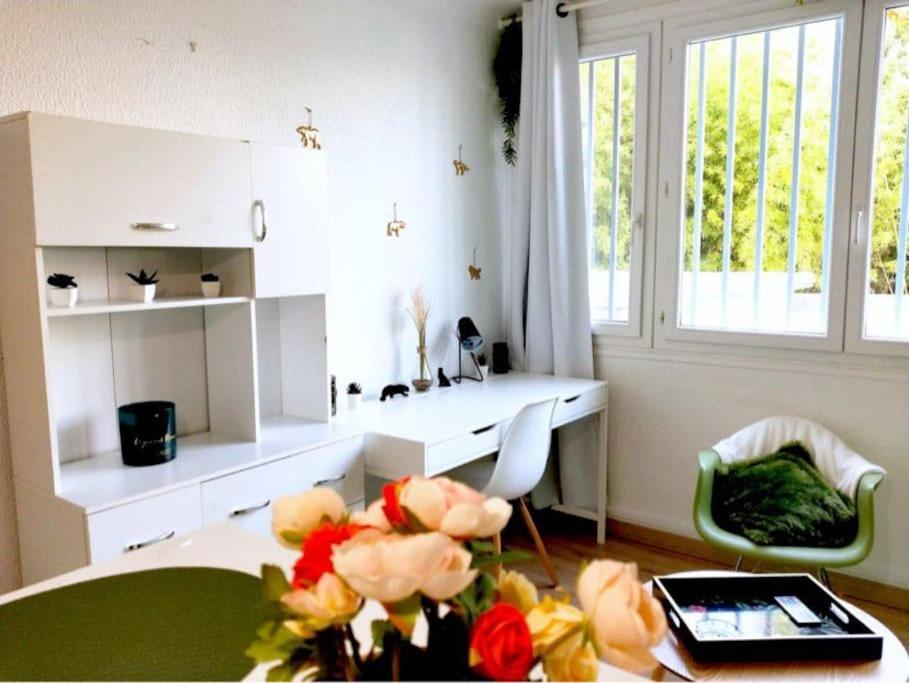 Apartmán Studio Proche Centre Wifi Parking Montpellier Exteriér fotografie